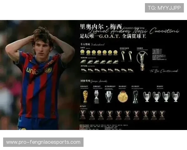 FLFA世界足球球星的评选标准与评选过程揭秘