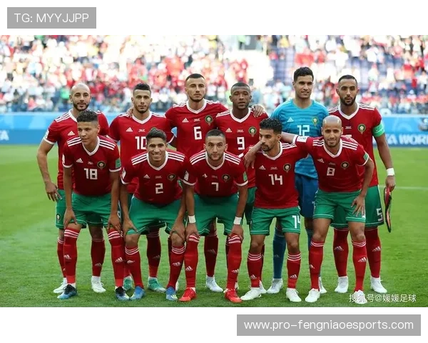 伊朗足球历史排名前十球星盘点及其影响力分析